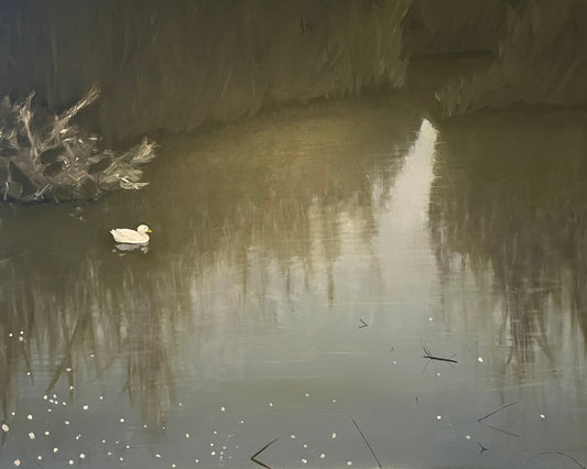 The Pond